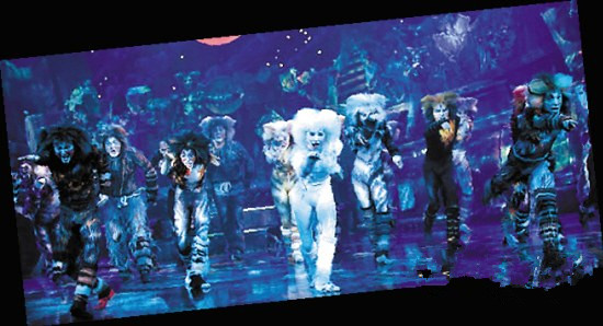 《猫》广州连演25场 看“喵星人”玩魔术跳芭蕾