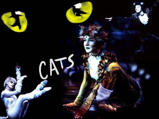 中国音乐剧市场空白 别做一锤子买卖