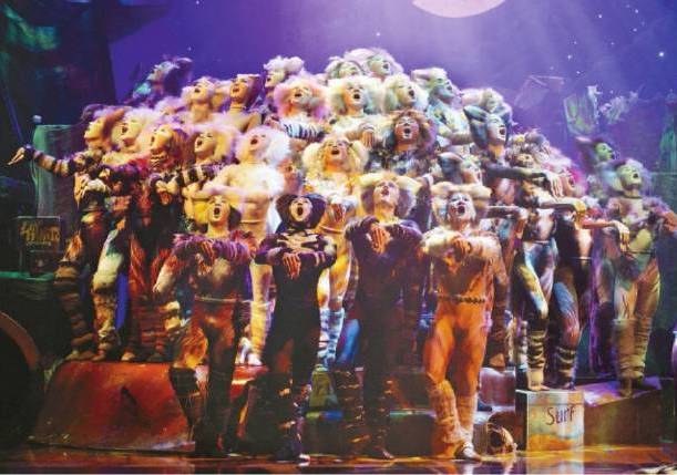 《猫》中文版在国内再掀热潮含蓄内敛