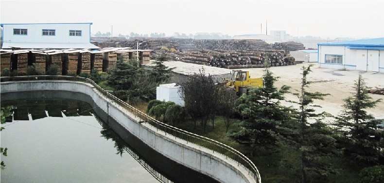 世界乐器14强——柏斯音乐集团