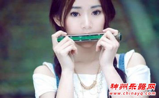 我与口琴的交情