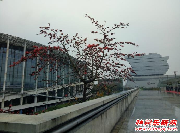 被房子绑架的一代，没了梦想怎么行?