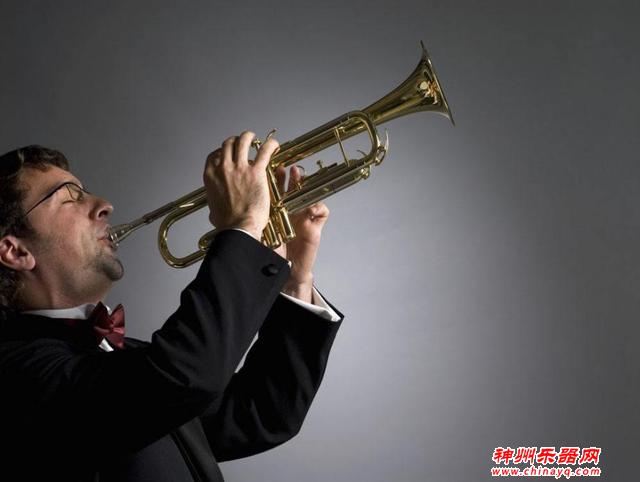 这6种容易上手的西洋乐器，你知道吗？