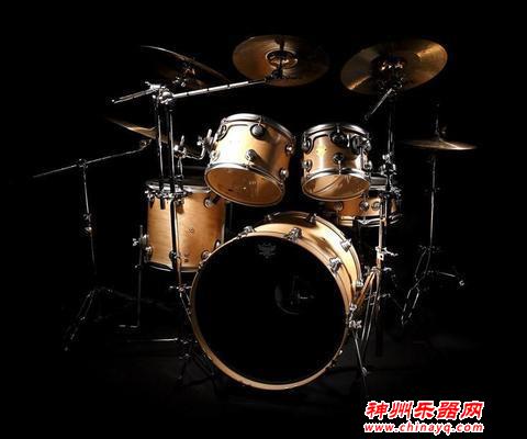 这6种容易上手的西洋乐器，你知道吗？