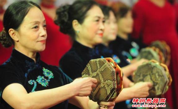 中国乐器大汇总（八）