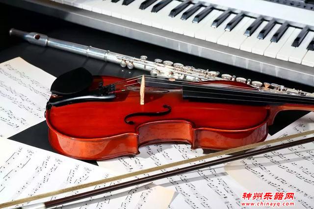 十种常见乐器的优劣分析