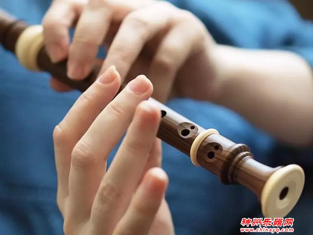 十种常见乐器的优劣分析