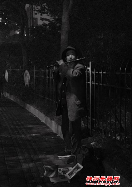 中国乐器大汇总（二）