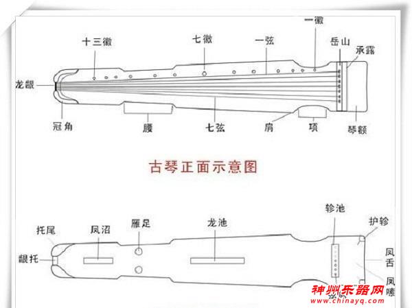 古琴知识大全