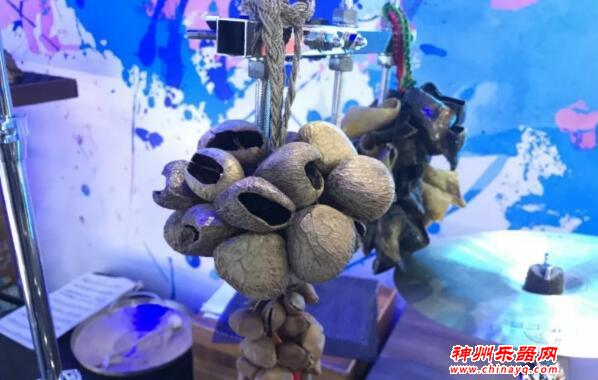 驴牙齿、羊趾甲、干果壳……请来进博会中国馆香港展区