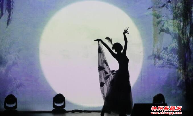 中国残疾人艺术团表演惊艳里约