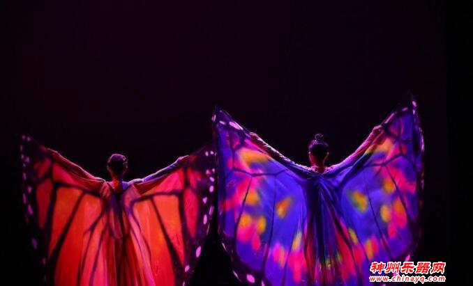 中国残疾人艺术团表演惊艳里约