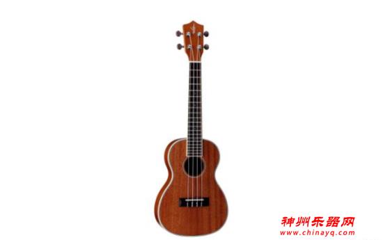 十大最简单的自学乐器，最易自学的乐器有哪些？