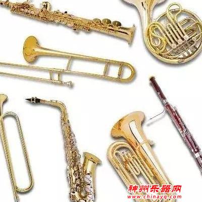 你知道世界到底有多少种乐器吗？