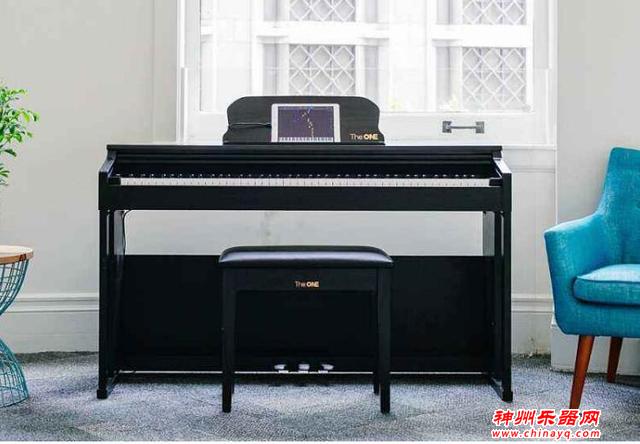 细数那些最不正经的乐器