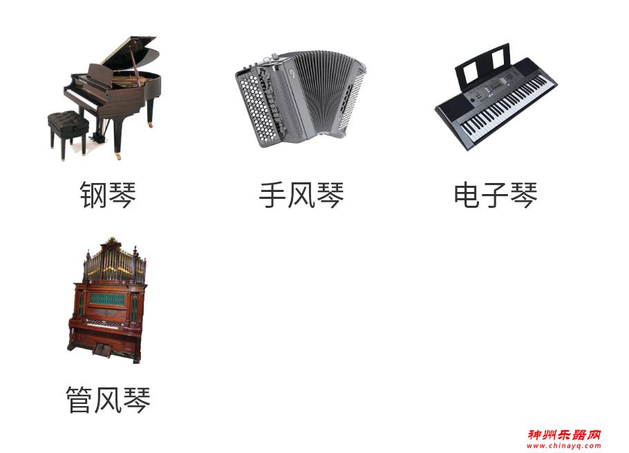 西洋乐器和中国乐器知多少？乐器普及