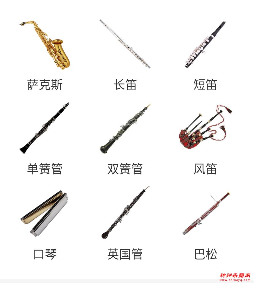 西洋乐器和中国乐器知多少？乐器普及