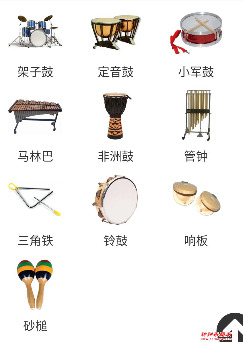 西洋乐器和中国乐器知多少？乐器普及