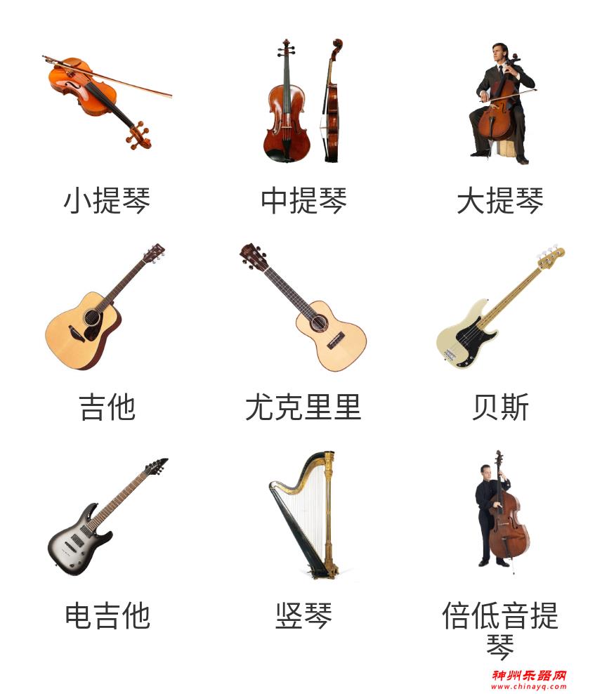 西洋乐器和中国乐器知多少？乐器普及