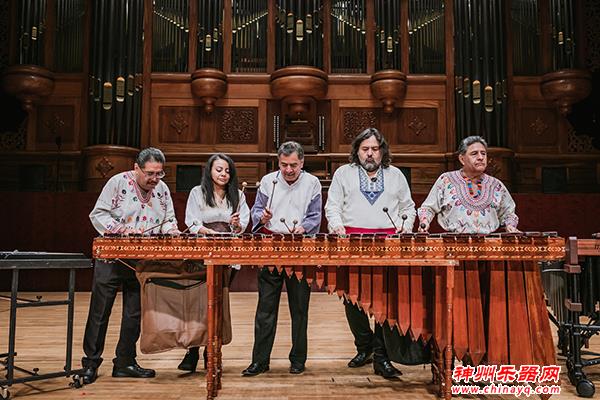 打击乐之路上，这些拿琴槌鼓棒的人在靠什么追梦