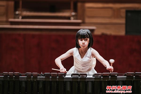 打击乐之路上，这些拿琴槌鼓棒的人在靠什么追梦