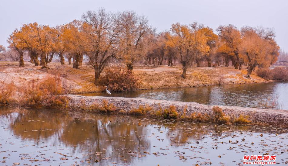 新疆巴楚“尉头州”，昔日的“西域古国”，今成当地文化大观园