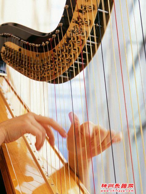 世界十大最难学的乐器，你能猜到哪种乐器最难学？