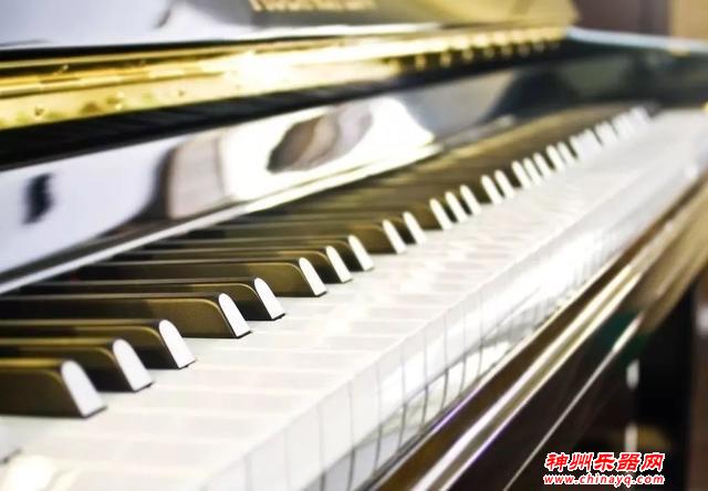 世界十大最难学的乐器，你能猜到哪种乐器最难学？