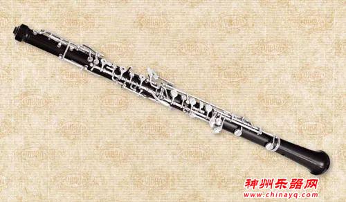 世界十大最难学的乐器，你能猜到哪种乐器最难学？