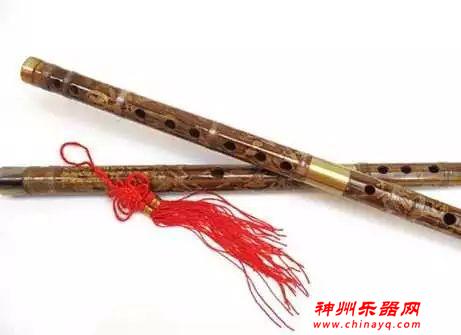 世界十大最难学的乐器，你能猜到哪种乐器最难学？