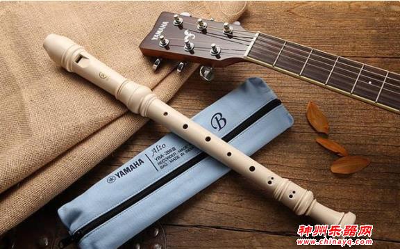 看图认乐器！听古典音乐，先了解乐器！