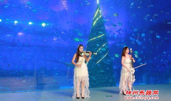 晚场音乐会+数百种海洋生物 来汉海海洋公园跨年狂欢