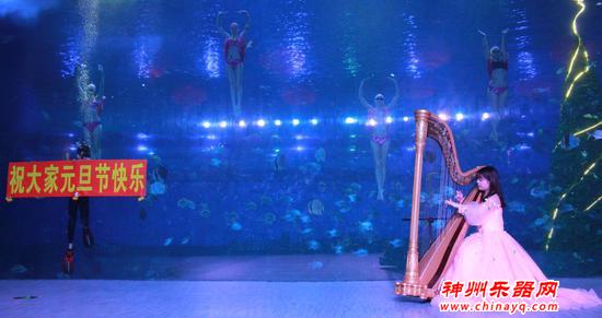 晚场音乐会+数百种海洋生物 来汉海海洋公园跨年狂欢