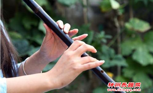 12星座专属“古典乐器”，处女座敏感凤首箜篌，水瓶座创意月琴