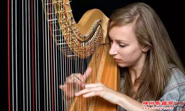 世界公认十大最难学乐器，你学的乐器榜上有名吗？