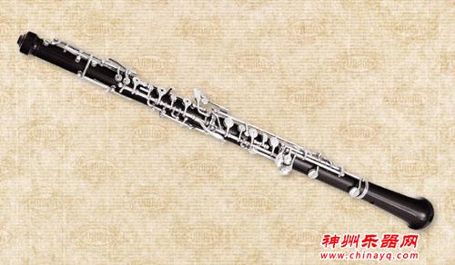 世界公认十大最难学乐器，你学的乐器榜上有名吗？