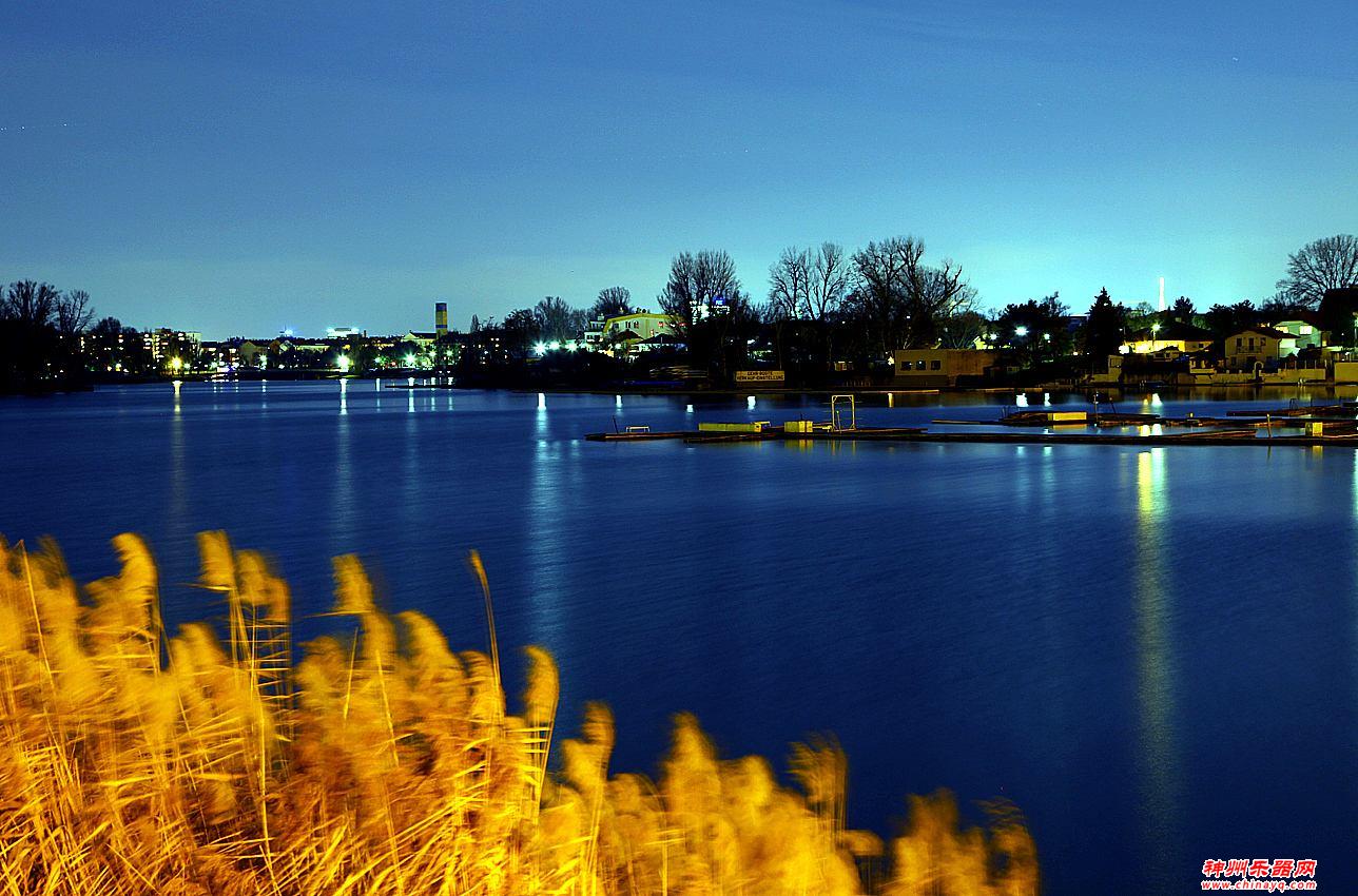 为什么有很多科学家都喜欢演奏乐器？