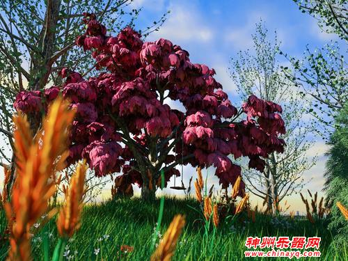 为什么有很多科学家都喜欢演奏乐器？