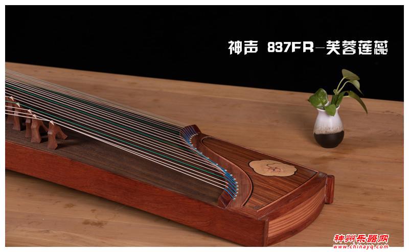 初学者买什么古筝好(小孩子古筝入门)