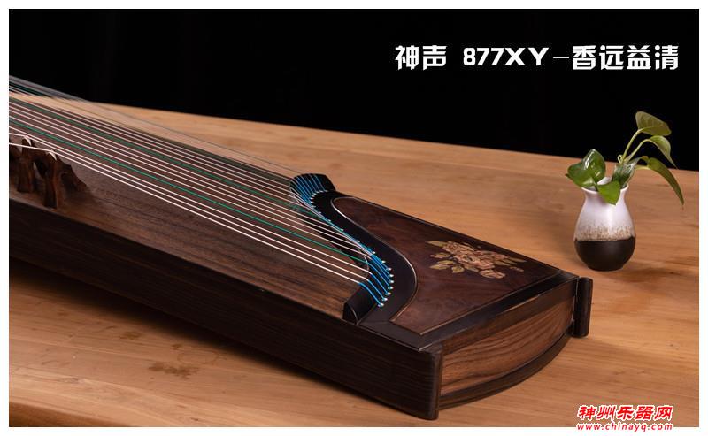 初学者买什么古筝好(小孩子古筝入门)