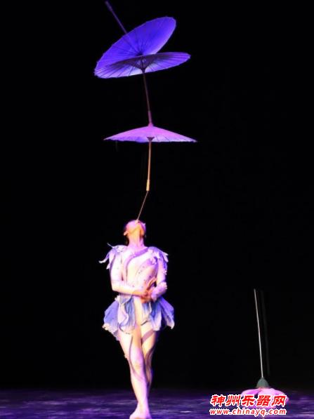 中国驻土耳其使馆举办2020年新春招待会