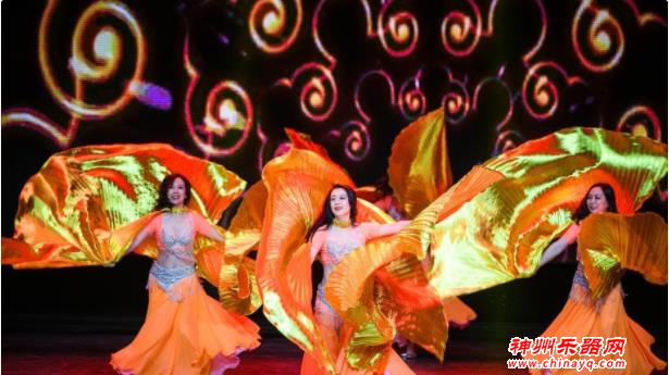 华侨华人迎春晚会