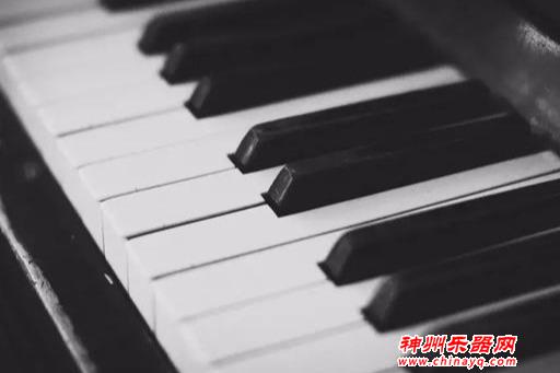 哪一种乐器简单易上手