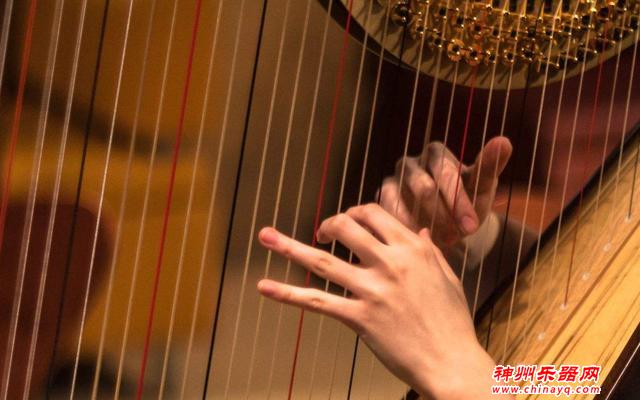 那些你不知道的冷门乐器优势！