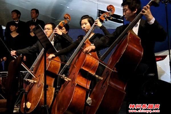 那些你不知道的冷门乐器优势！