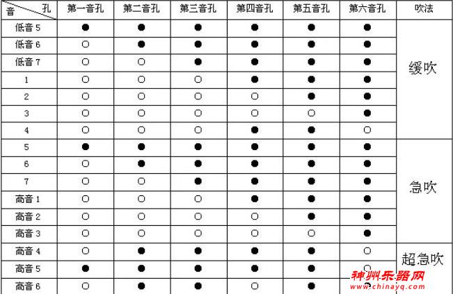 那些小乐器，学起来非常方便又很常见，有你喜欢的吗？