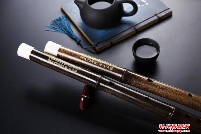 那些小乐器，学起来非常方便又很常见，有你喜欢的吗？