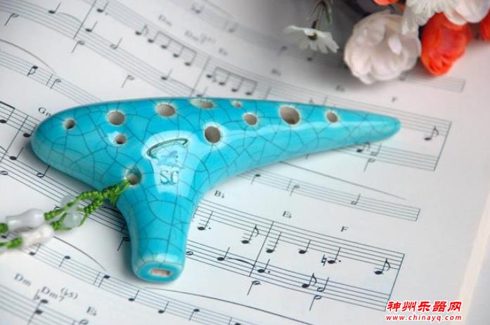 那些小乐器，学起来非常方便又很常见，有你喜欢的吗？