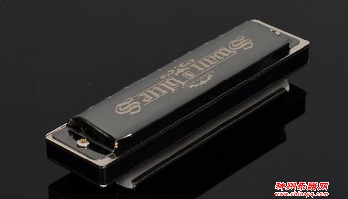 那些小乐器，学起来非常方便又很常见，有你喜欢的吗？