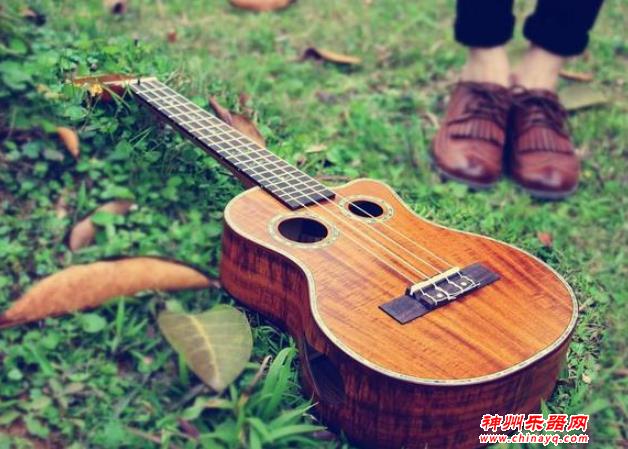 那些小乐器，学起来非常方便又很常见，有你喜欢的吗？